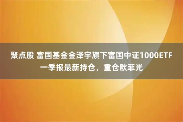聚点股 富国基金金泽宇旗下富国中证1000ETF一季报最新持仓，重仓欧菲光