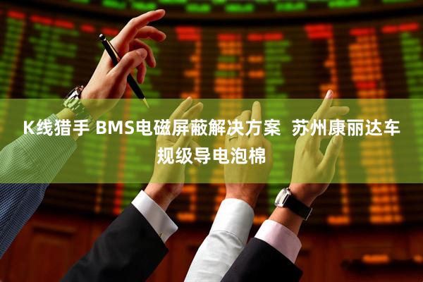 K线猎手 BMS电磁屏蔽解决方案  苏州康丽达车规级导电泡棉