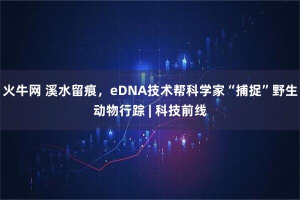 火牛网 溪水留痕，eDNA技术帮科学家“捕捉”野生动物行踪 | 科技前线
